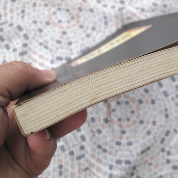 COMICS & GRAPHIC NOVELS | Berlin: City of Stones: Book One by Jason Lutes - Picture 11 of 14